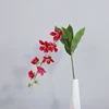 Rosa roja