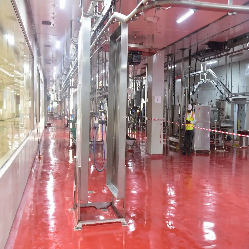 Slaughtering 250 sheep per day, halal mutton slaughtering line, with machines for slaughterhouse