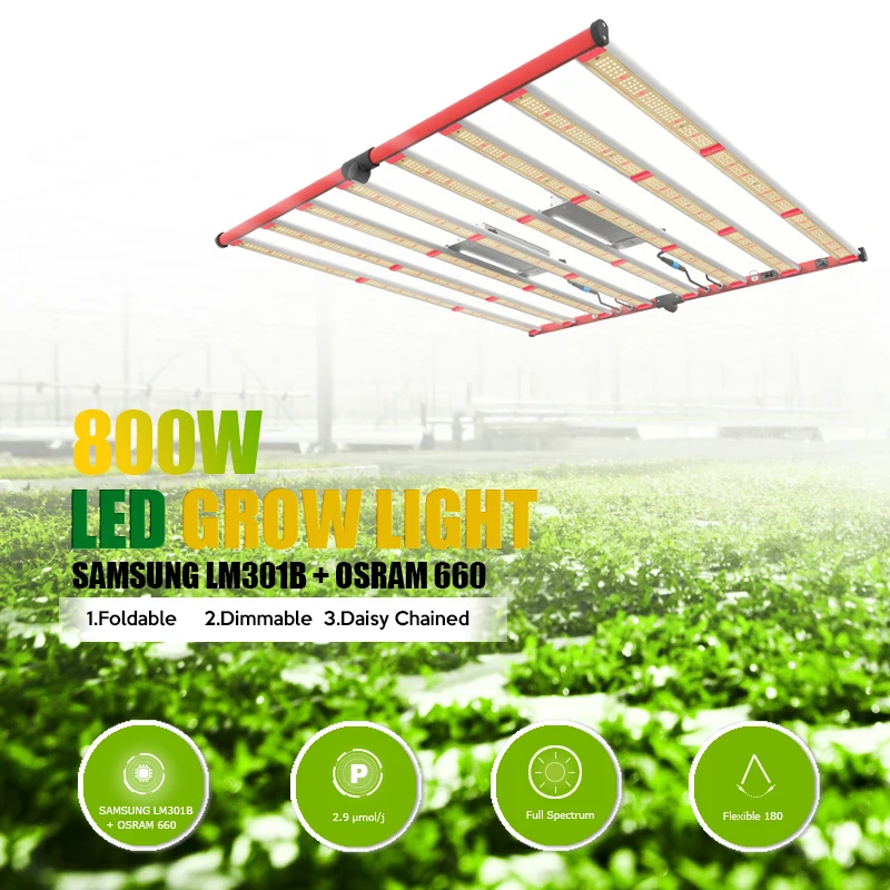 AGLEX 800W Plants Full Spectrum LED Grow Light Blue Red Indoor Vegetable Flower Plant LED Growing Light