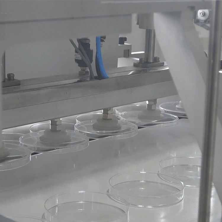 Fully Automatic Petri Dish Filling Women Summer Clothes Sexy Folding Machine