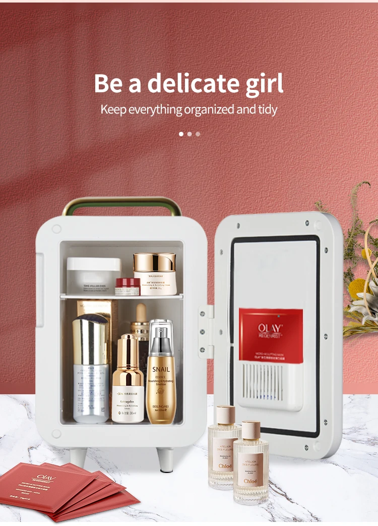 4 Liter Mini Refrigerator Skin Care Makeup Storage Beauty Serums And