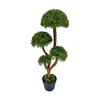 Green-TZL2411133