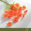 Orange-1