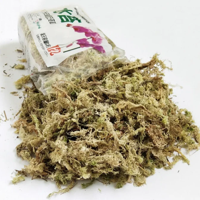 150 g home-packed dried sphagnum moss