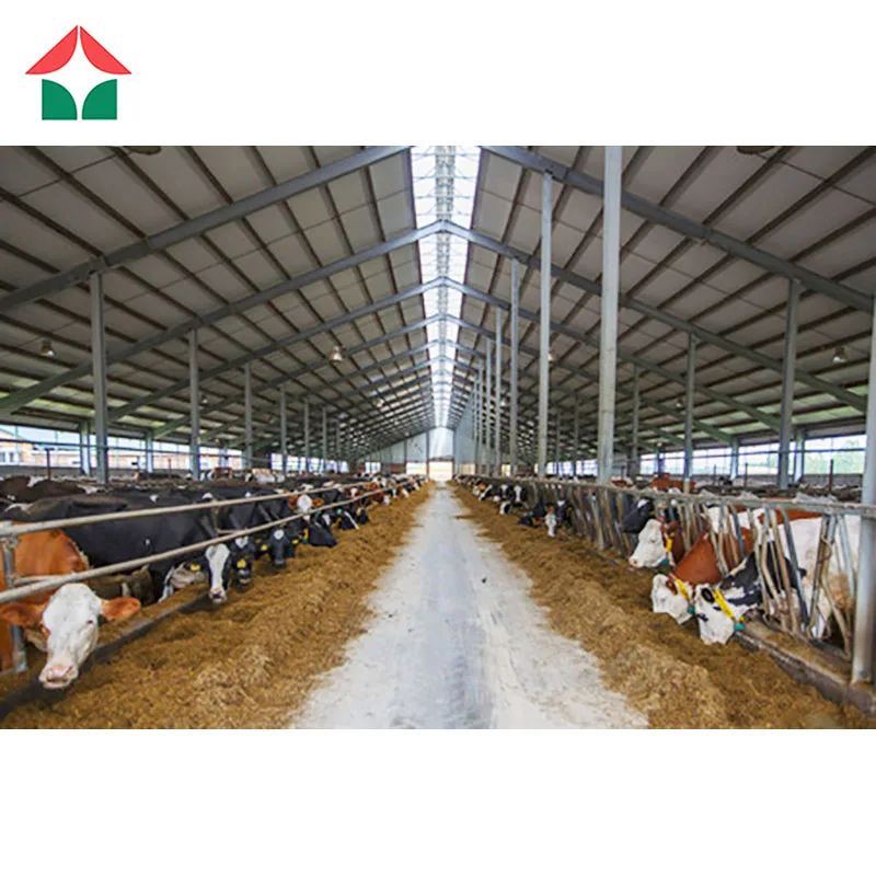 Modern Design Steel Structure Cow Cattle Dairy Milking Farm Goat Farming House  Shed Building