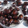 Occhio di tigre rosso