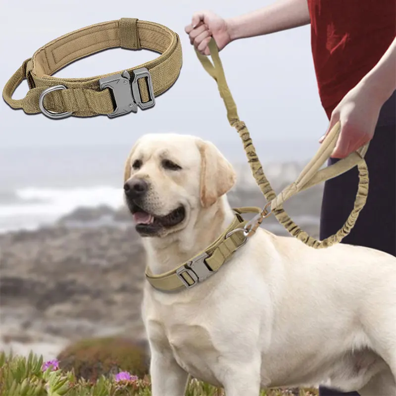 Custom Retractable Large Dogs Leashes Rope Training Running Luxury ...