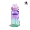Purple-green gradient-small size glossy-800ml