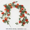 Peony of Wealth and Prosperity - Orange
