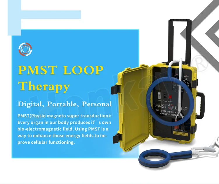 Physical Therapy Machines Pmst Loop Pemf For Human Body Pain Relief