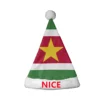 Surinam 13
