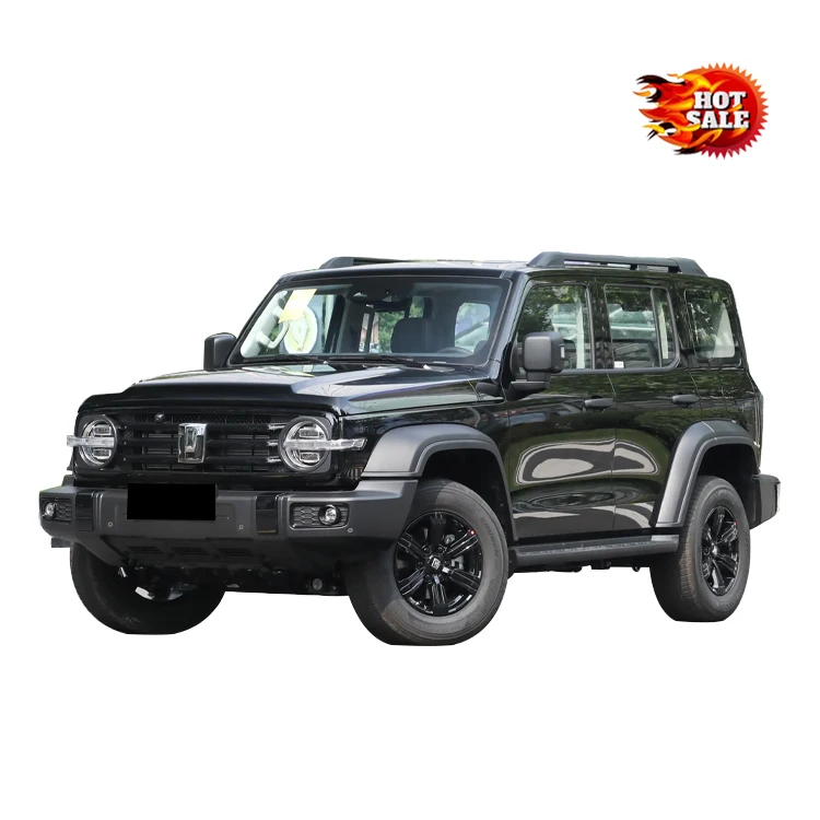 Great Wall Tank 300 2.0T SUV car China brand New models  with good price Gwm tank 300 2024 suv car