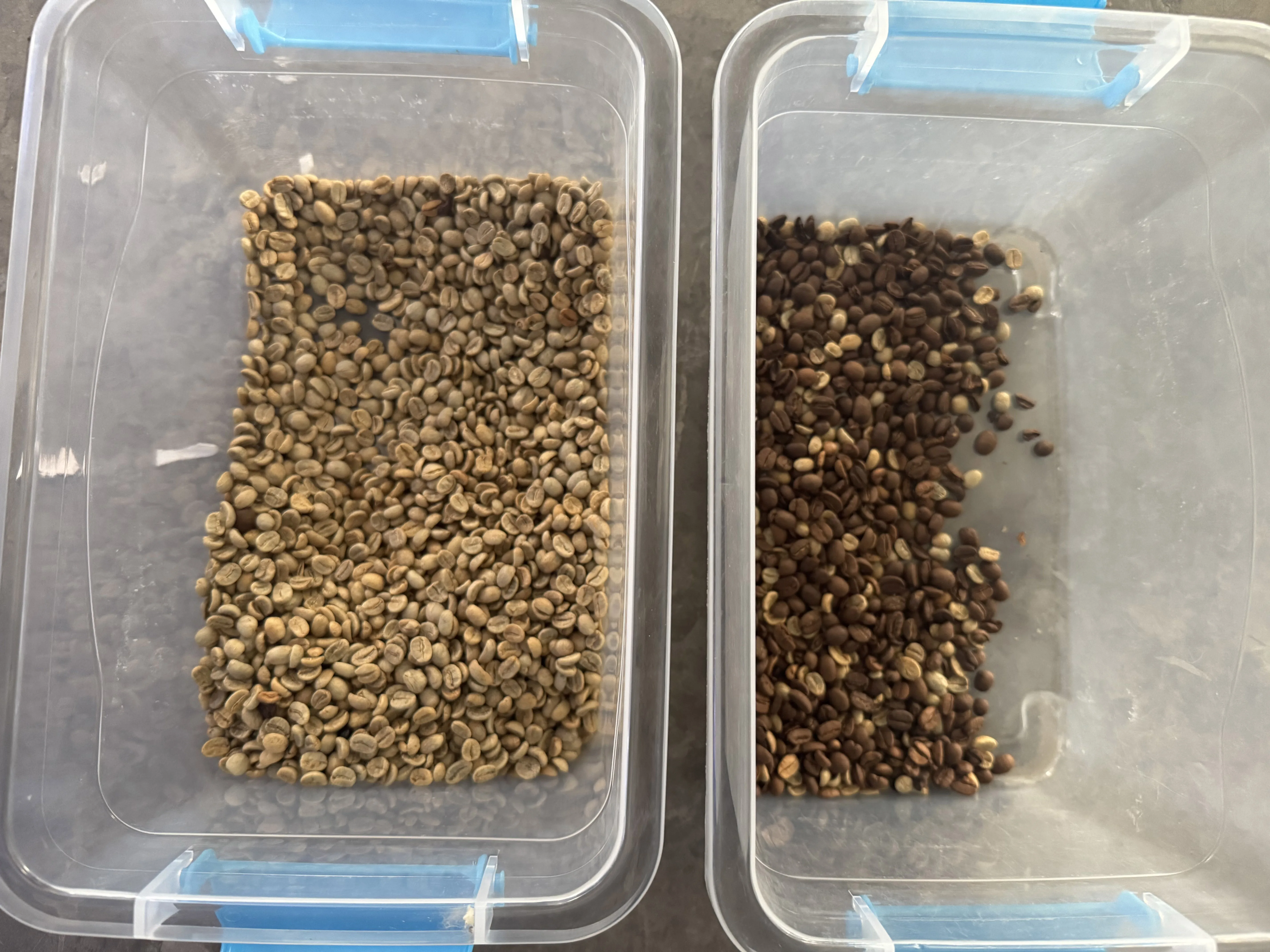 Coffee Bean  Coffee Cherry Rice Color Sorting Machine CCD Small Roasted Coffee Grains Optical Seeds Mini  Colour Sorters Machine