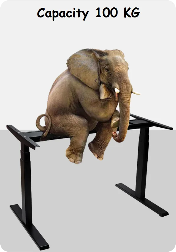 Hot Selling  Electric Standing Desk Frame Dual Motor Auto-Adjusts for Sit-Stand Workflow for Home Office supplier