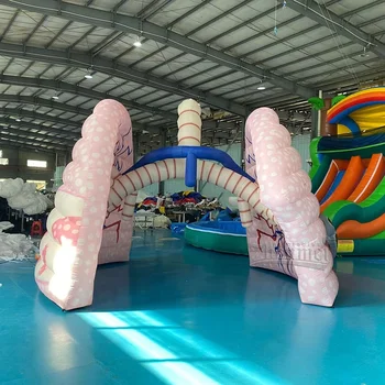 Zhenmei Inflatable lung Giant Inflatable cartoon lung for advertising decoration