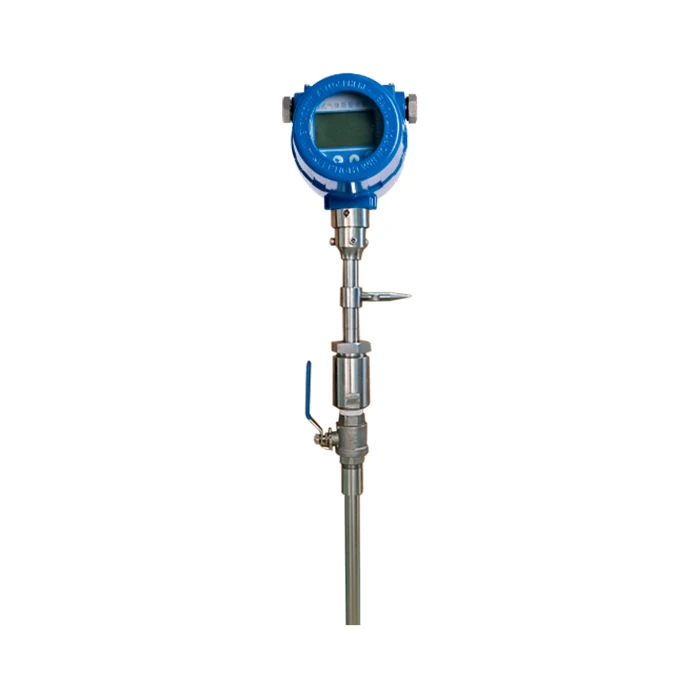 Insertion Type Digital Air Flowmeter Medidor De Flujo Dn200 Dn300 N2 CO2 O2 Steam Thermal Gas Mass Flow Meter With Pulse Output
