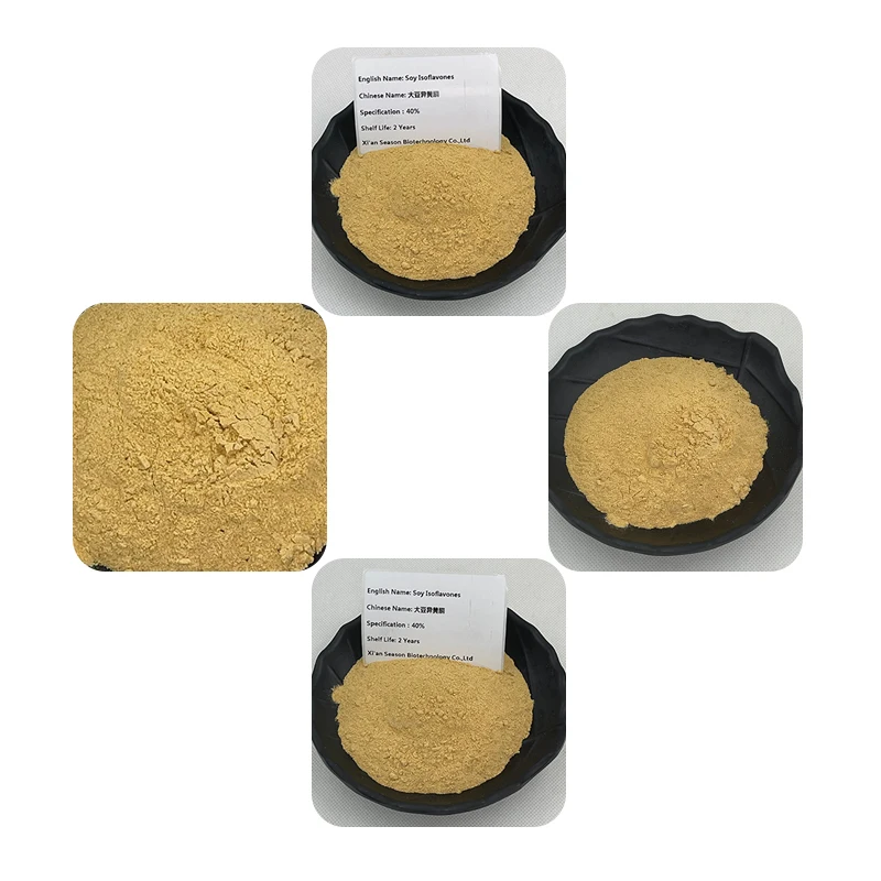 Natural Organic Soybean Extract Soy Isoflavones Powder