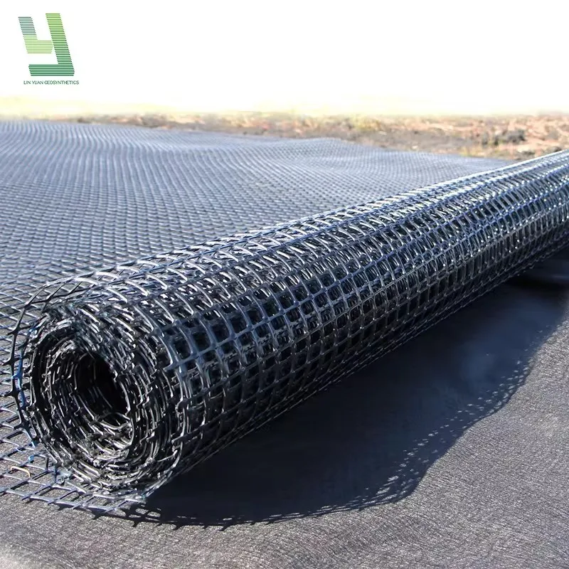 Factory Low Price High Tensile Strength PP Biaxial Geogrid for Road Construction and Other Project
