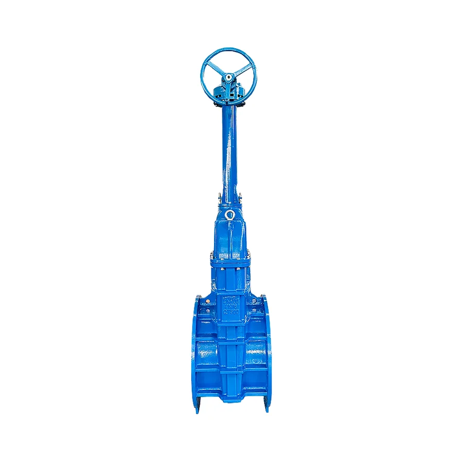 Manual Cast Iron Flanged Resilient Seat Gate Valve with Extended Stem EPDM NBR Seat PN10/PN16 Pressure DN40-DN300 Port Size