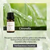 Citronela
