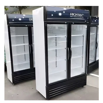 Frigidaire Double Door pepsi Fridge Frezzer Commercial Freezer 2 Doors Refrigerator air Cooled Chiller