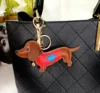 Chaleco para perro
