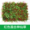 Herbe Féérique Rouge Mélangée
