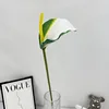 Bord vert blanc