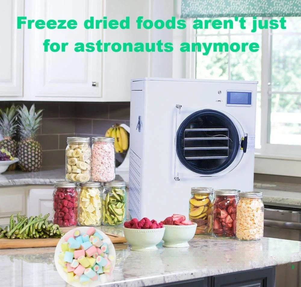 Mini-Type Automatic Vacuum Freezer Dryer Home Lab Lyophilizer for Food ...