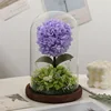สีม่วง