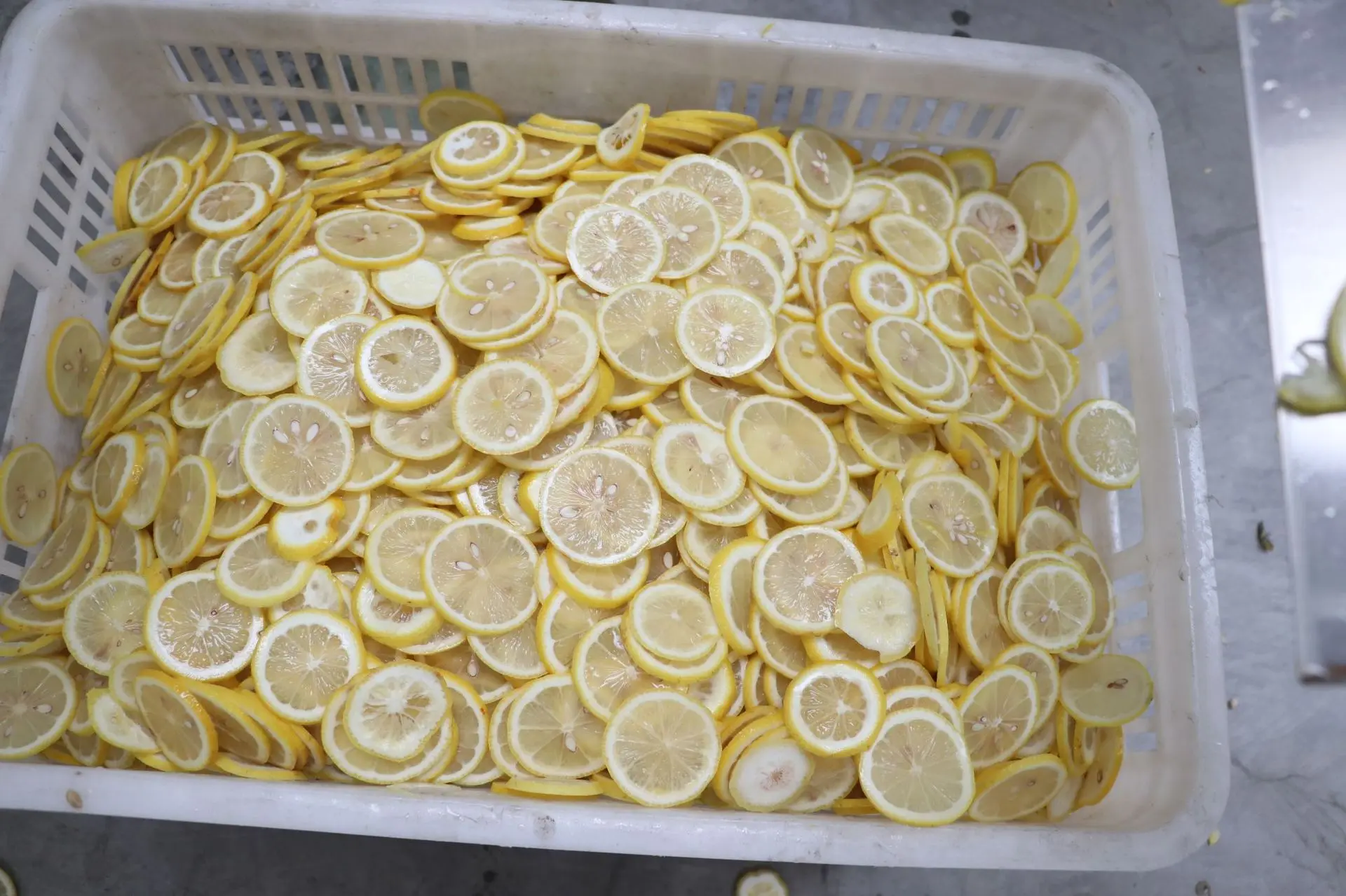 Orange Slicer Machine Production Line