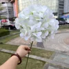 Grand hortensia américain simple blanc
