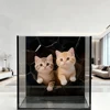 Twins cat model