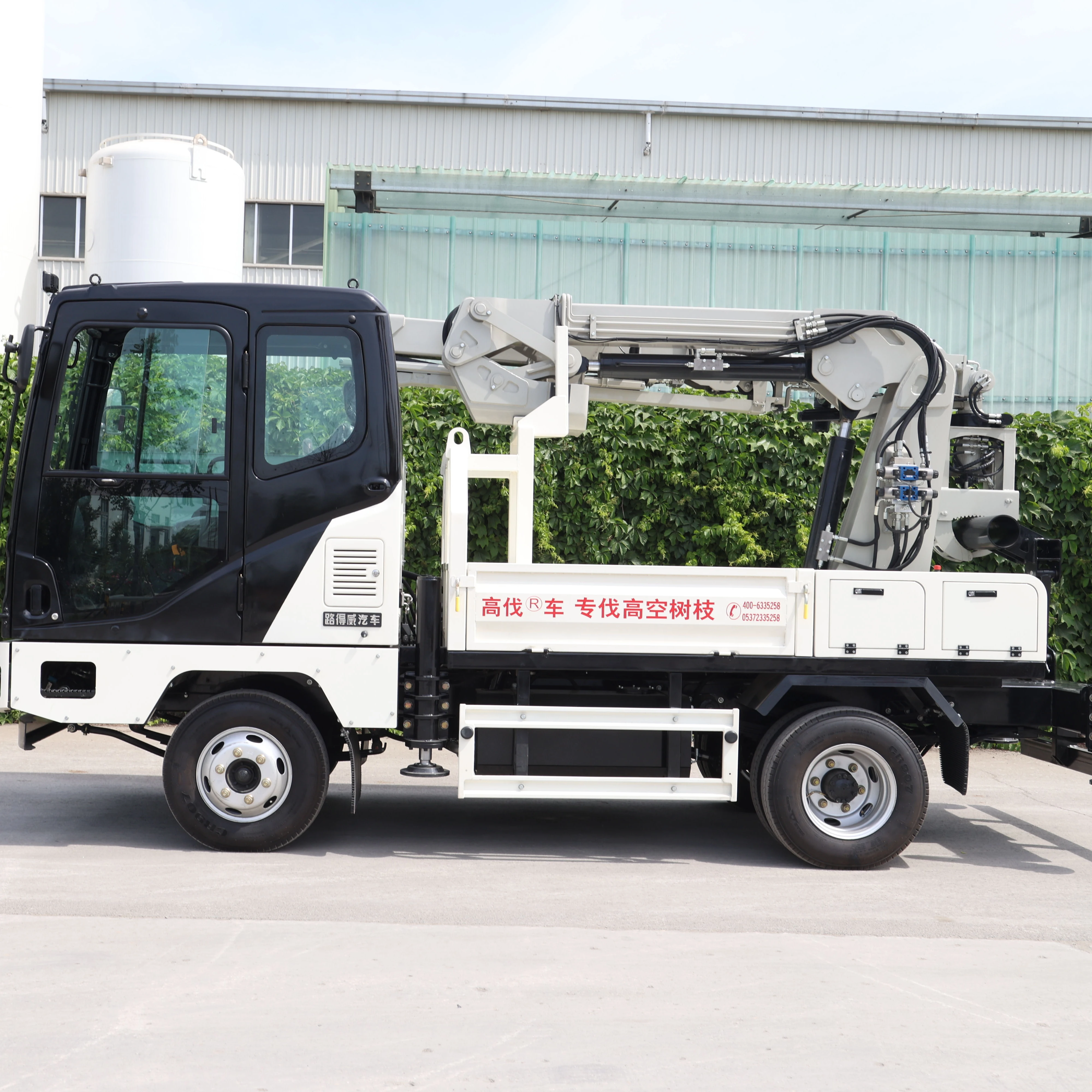 Podadora de Árboles RWQ811