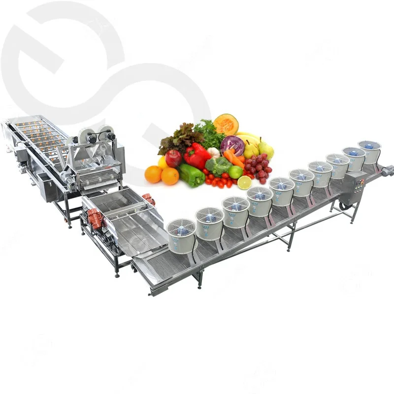Mango Sorting and Quick Drying Machine - Efficient Fruits Processing