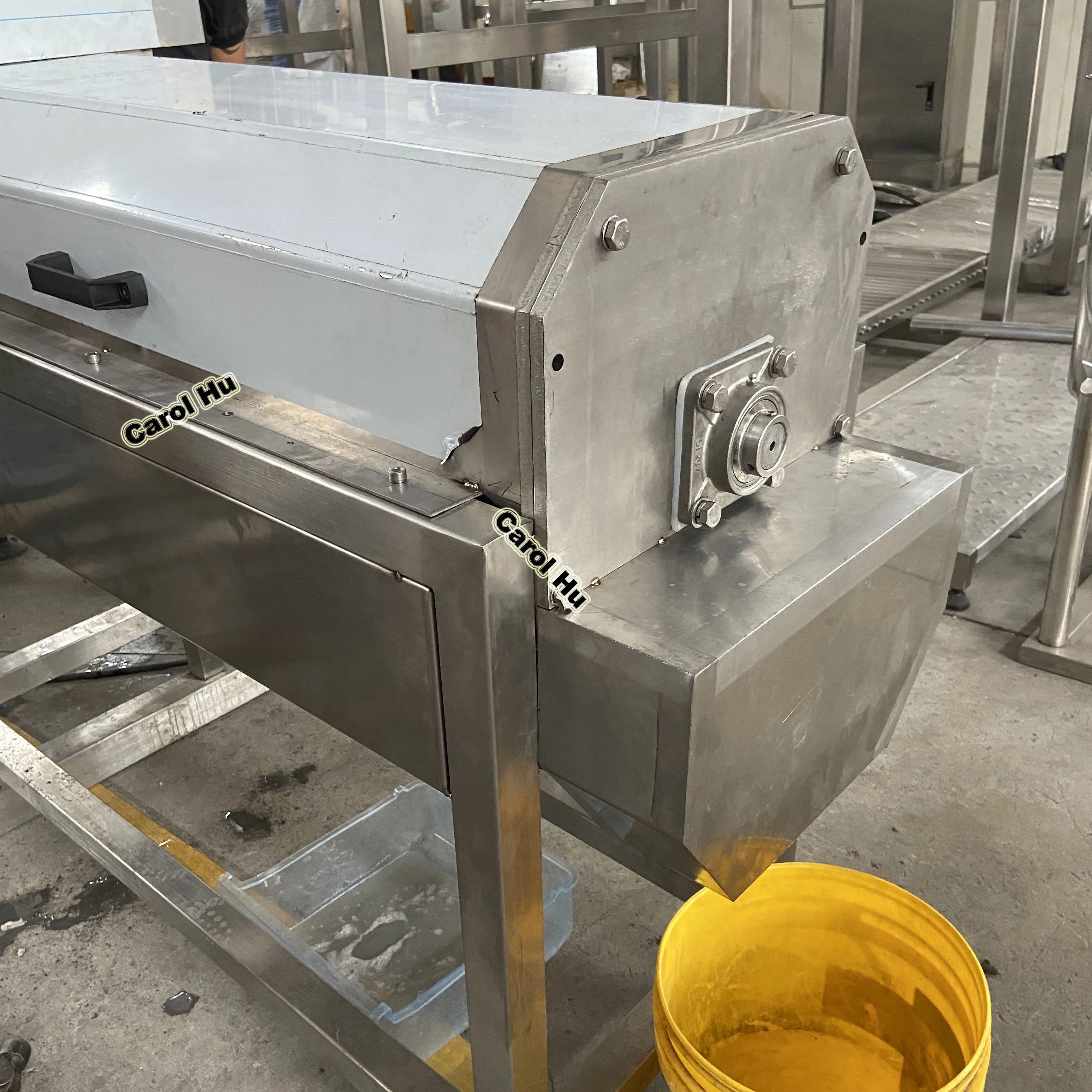 Small Fresh Litchi Skin Lychee Peeling and Pitting Machine 500KG Per Hour