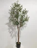 Green 180cm (Detachable Version)