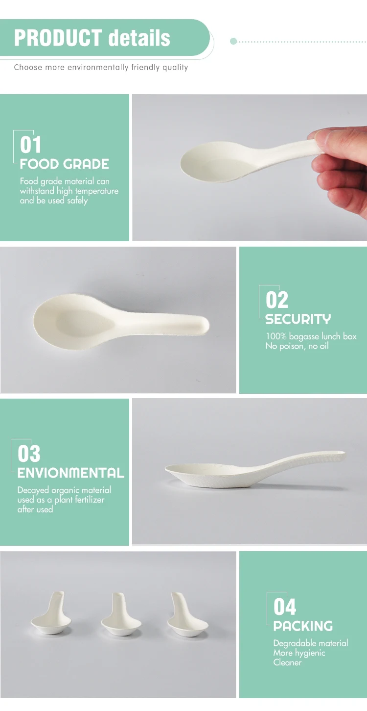 Warmpack Chinese Sugarcane Bagasse Spoon 100 Compostable Hot Sale