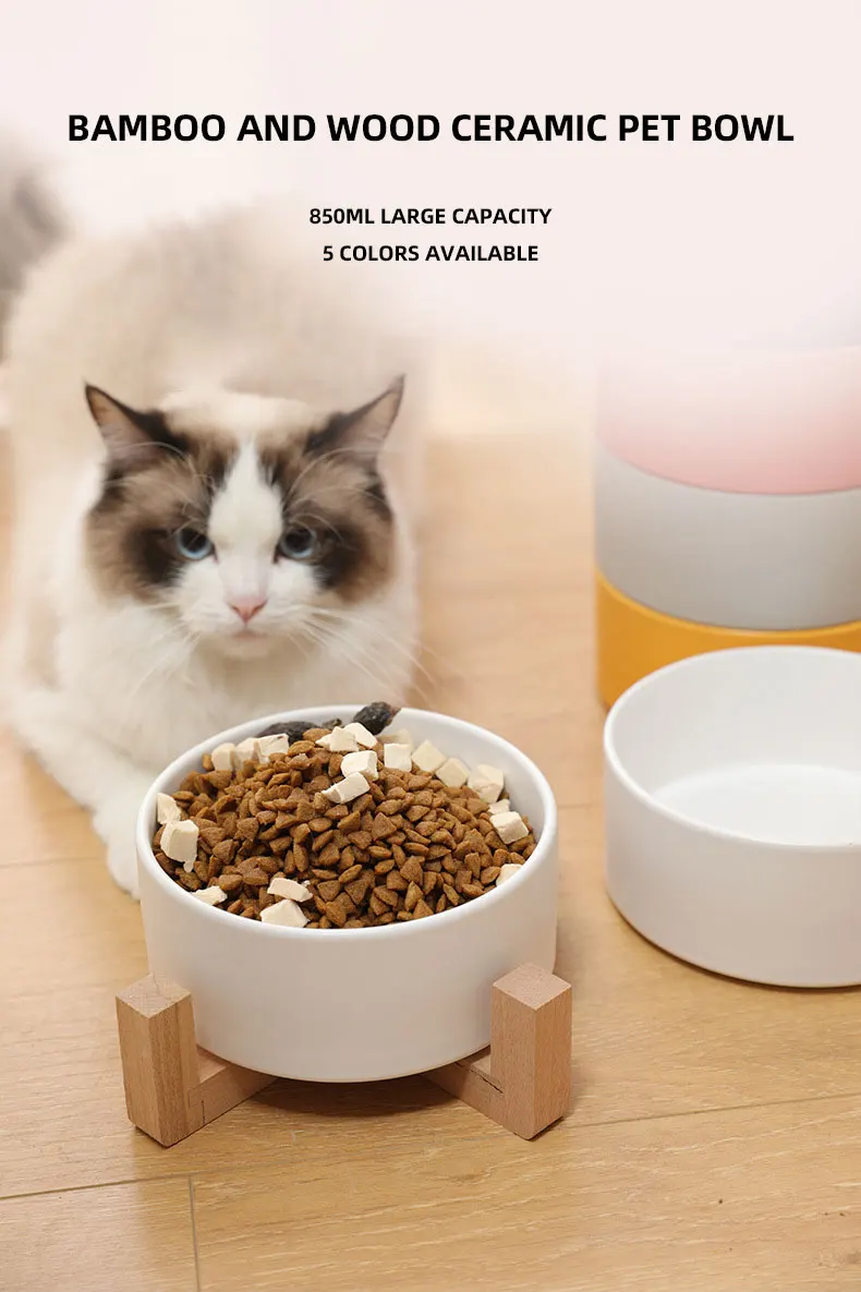 Wholesale Custom Matted Elevated Dog Bowl Non Slip Ceramic Pet Bowl