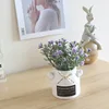 Ciel étoilé bleu violet + pot de fleurs