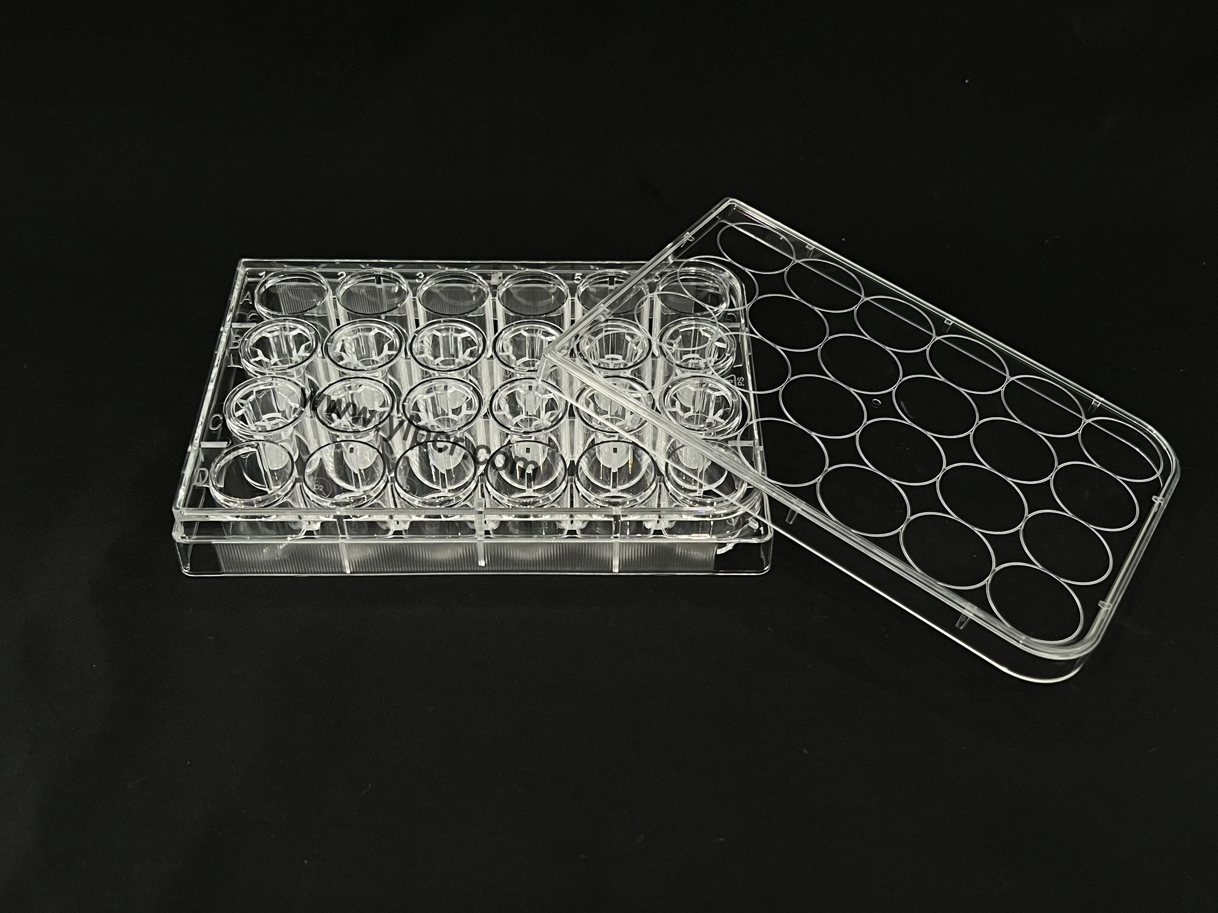 Insets Cell Permeable Cell Culture Inserts,Cell Culture Plate,0.4um Pet Film - Buy ...