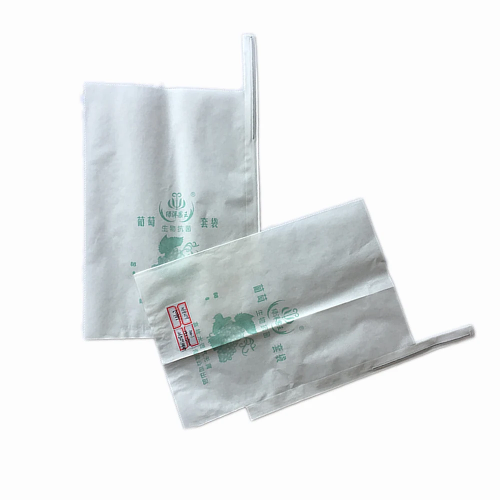 Bags Wax Coated Fruit Growing Paper Bag For Mango Fruits