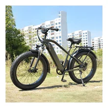 RaiderRover-31F 26*4.0 big power electric Mountain Ebike electric bicycle electric hybrid bike electric Fat tire bike for adults