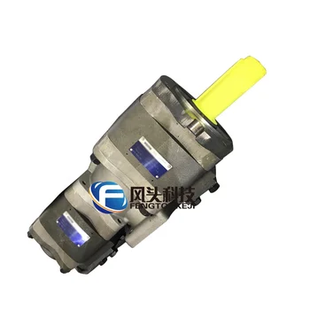 Double gear pump IPVP6-80 IPVP5-40  IPV7-125 IPVP6/-64  IPVP5-50 IPVP5-32/40/64 101 for Krauss Maffei injection molding machines