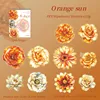 B Orange Sun