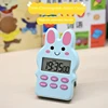 Lapin bleu
