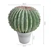Grande cactus di velluto rosso