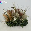 Design 6