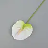 01 blanco