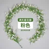 Une vigne rose de gypsophile